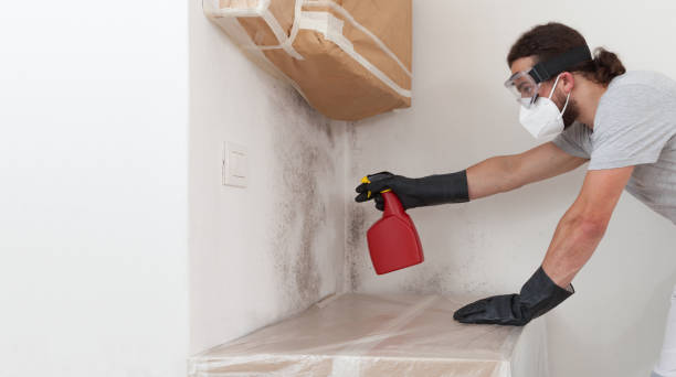Professional Commercial Mold Remediation technician working in Newton Upper Falls, MA